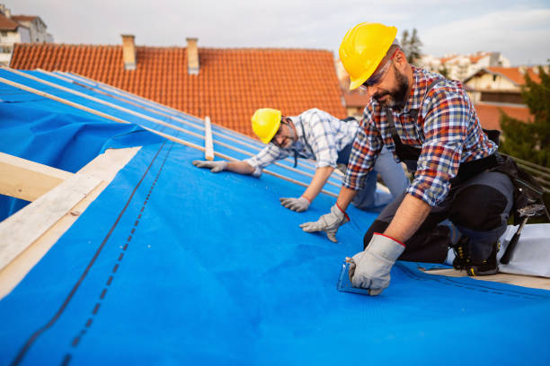 Roof Gutter Cleaning in Corte Madera, CA